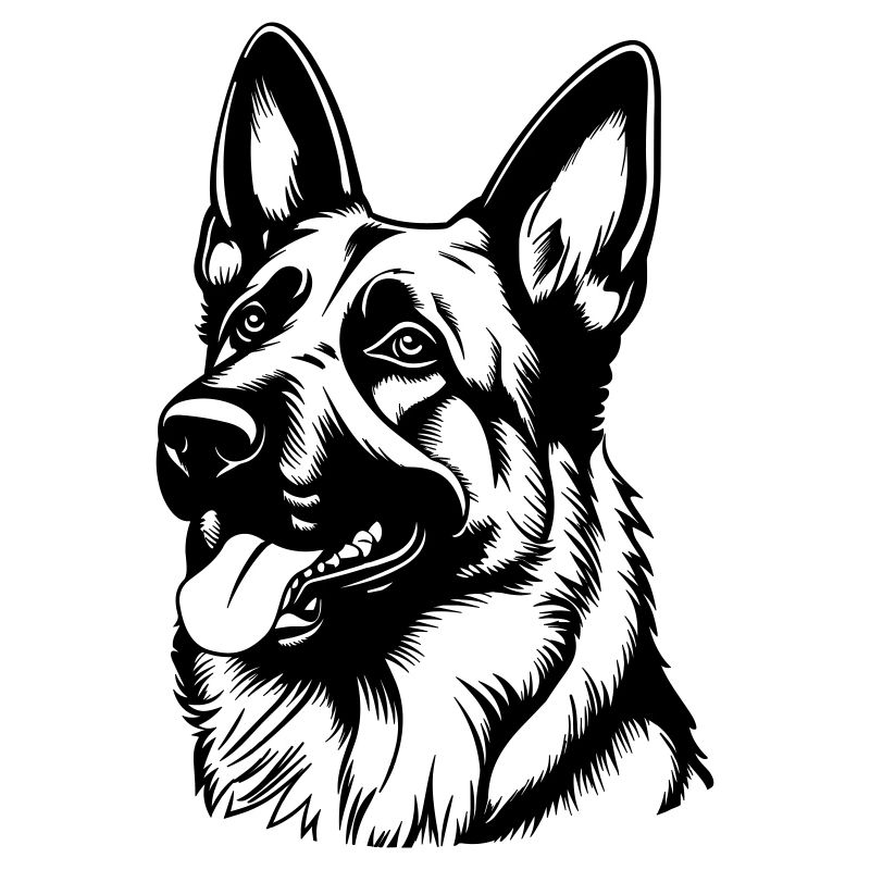 Deutscher Schäferhund