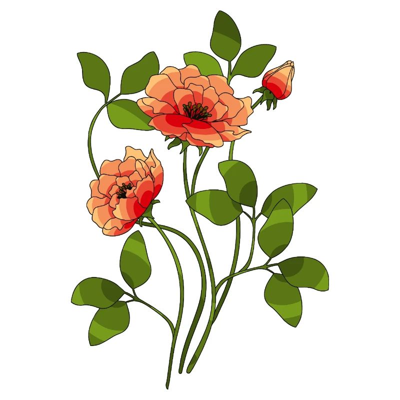 Fiori