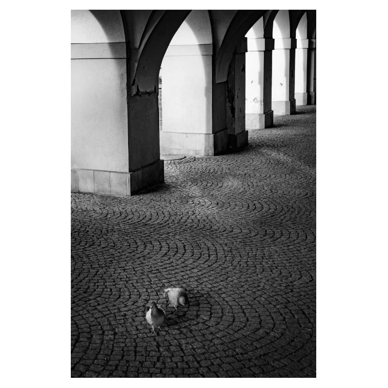 Schatten der Bögen und Tauben