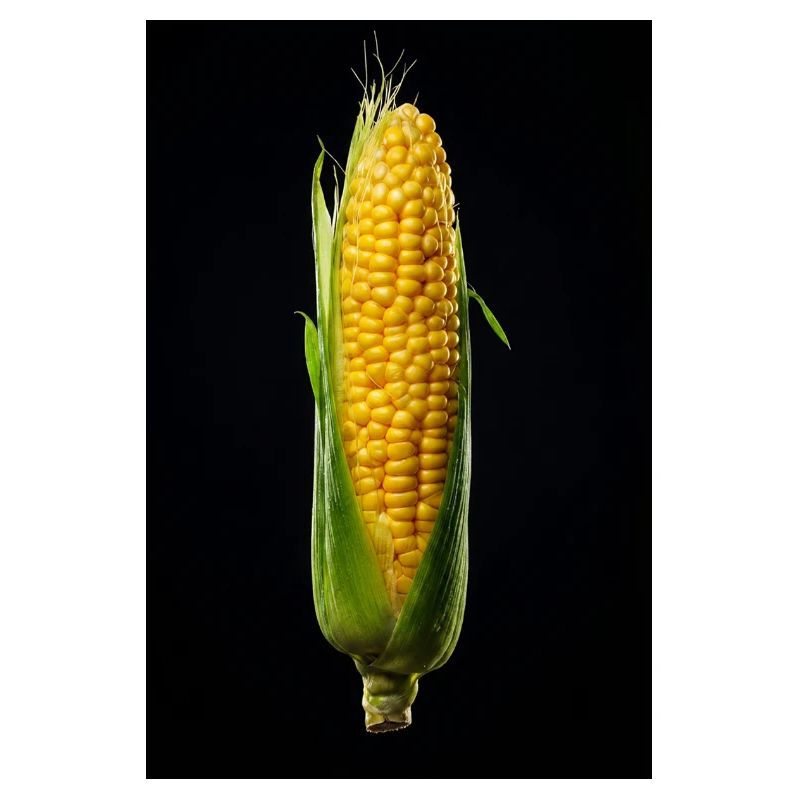 Goldkornernte