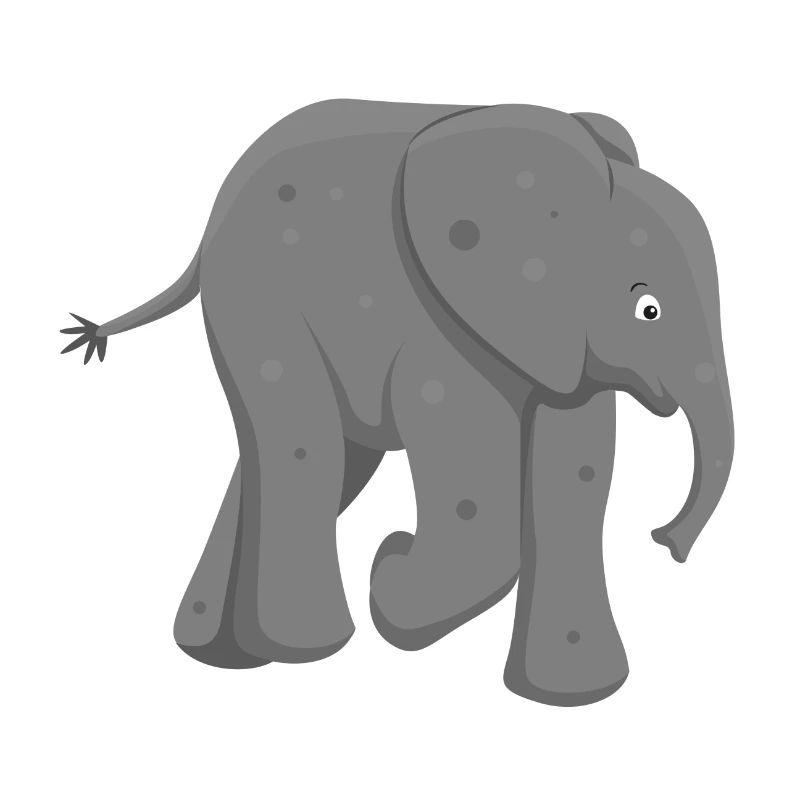 Bébé éléphant d’Afrique