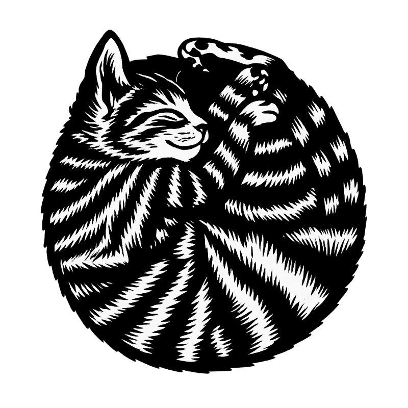 Chat Chat mignon