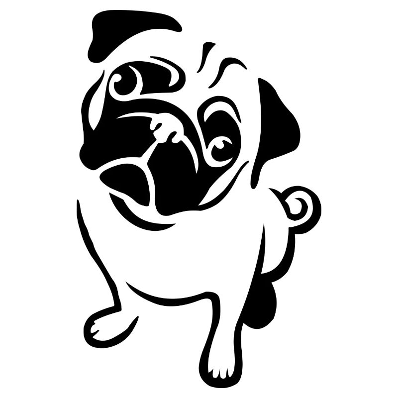 pug