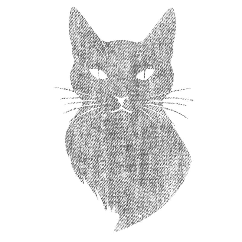 Cat retro art mystical