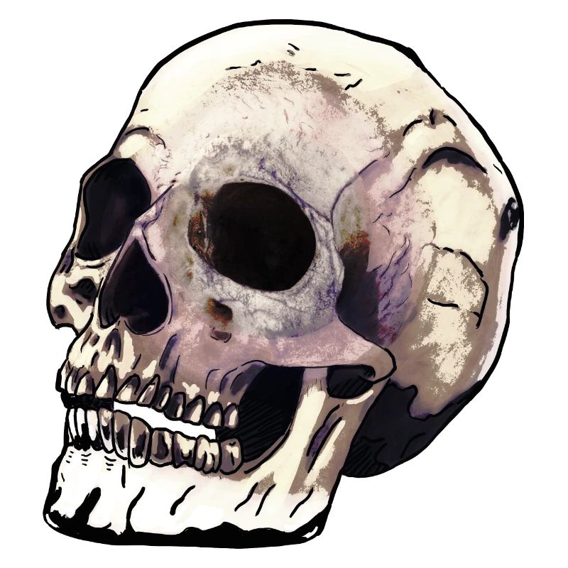 Skull Dimension