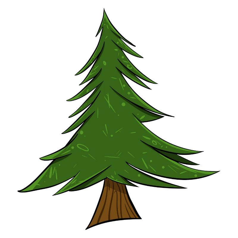 Fir | Christmas Tree | Pine Tree