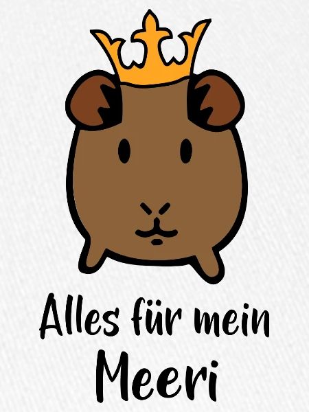 Meerschweinchen
