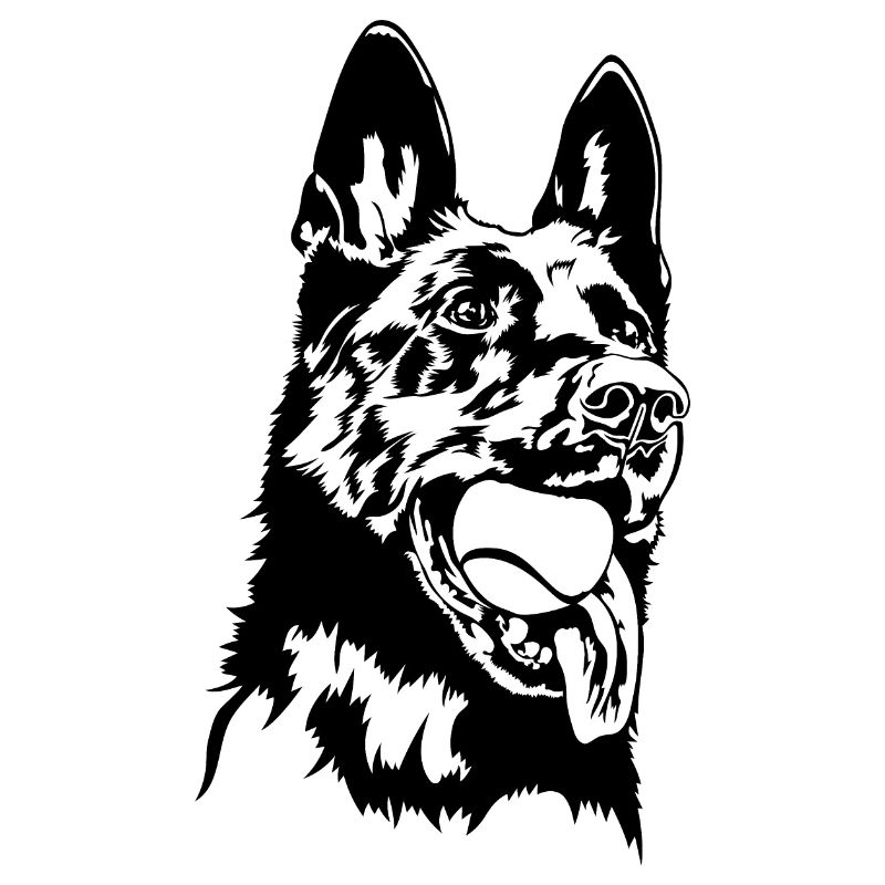 Deutscher Schäferhund Balljunkie Hunde Wilsigns