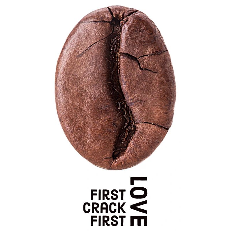 First crack first love