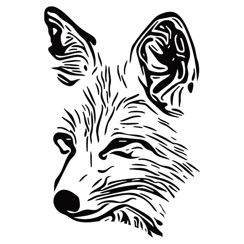 Fox Portrait Drawing