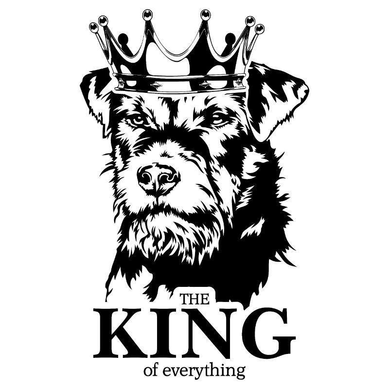 Deutscher Jagdterrier King of everything Wilsigns