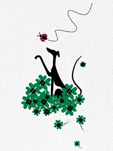 lucky charm