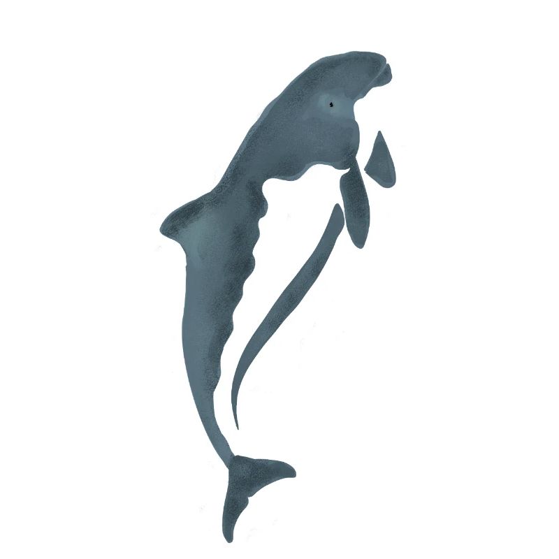 Aquarell-Delfin Silhouette