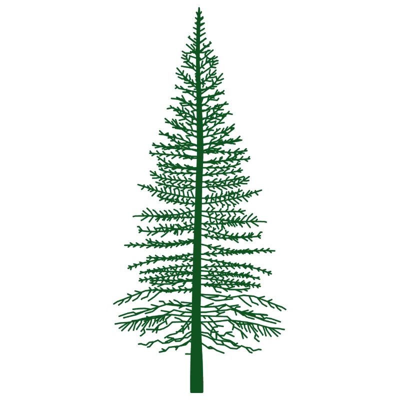 Green Fir Tree Silhouette