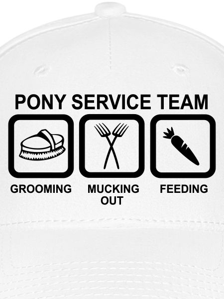 6061912 127024060 Pony