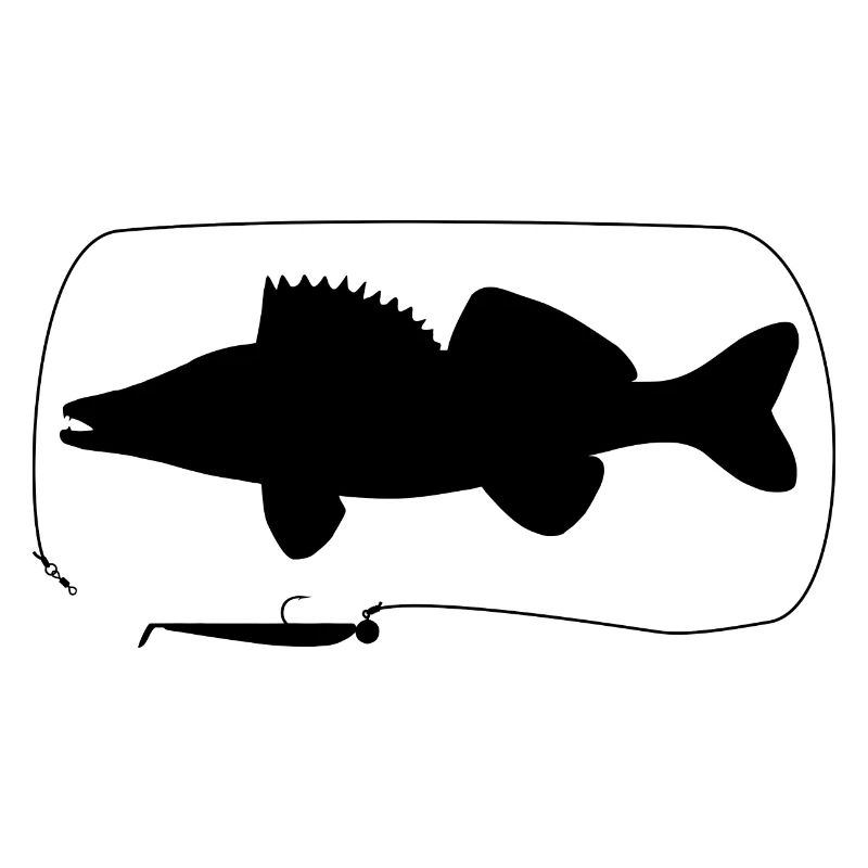 zander mit Gummifisch