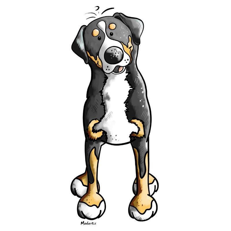 Witziger Schweizer Sennenhund