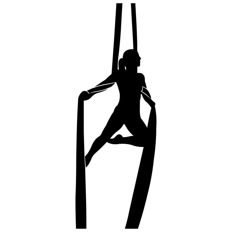 Aerial Silk