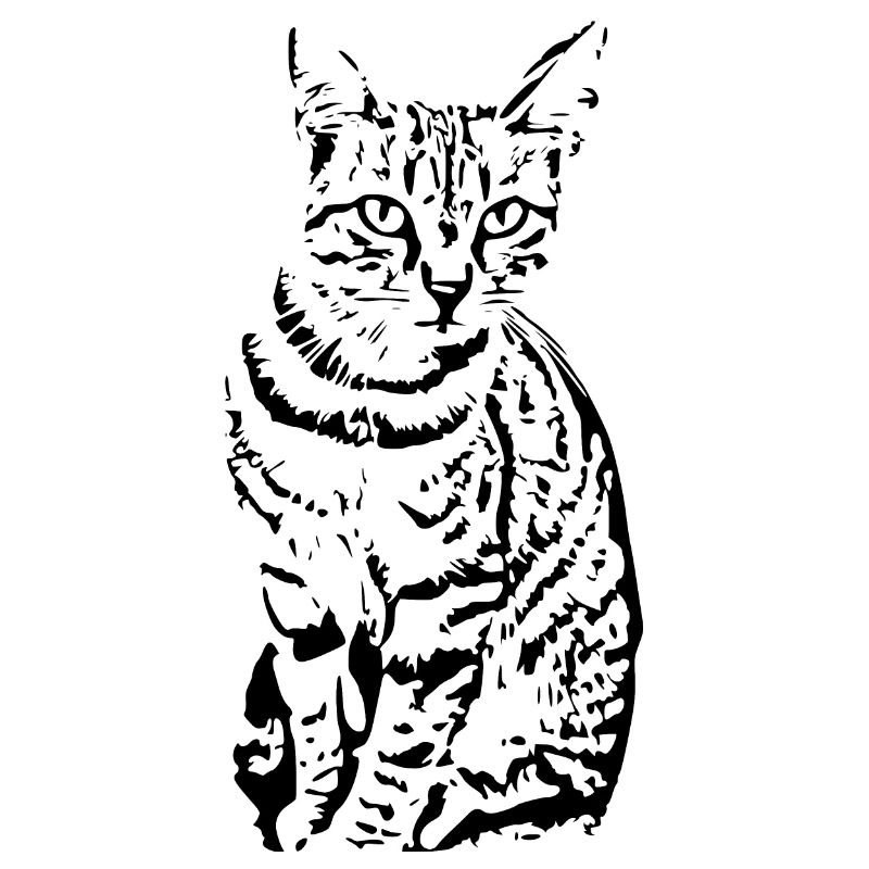 chat noir chat chaton doux cadeau de Noël