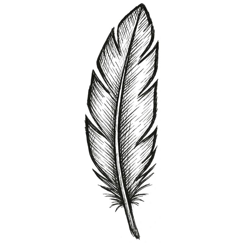 Black glitter feather with texture