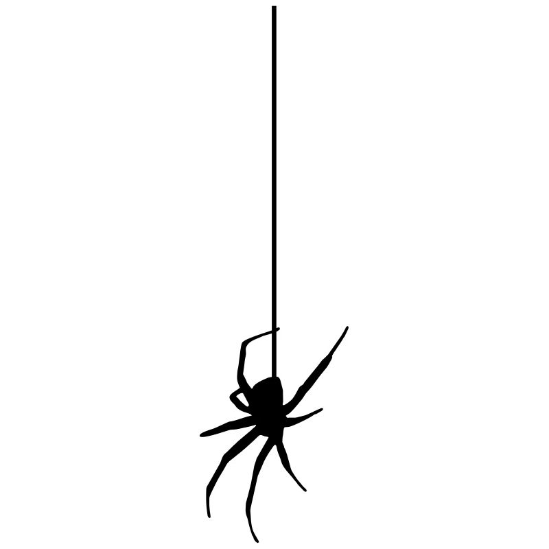 Spider on a thread