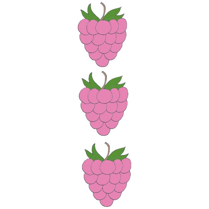raspberries trio pattern