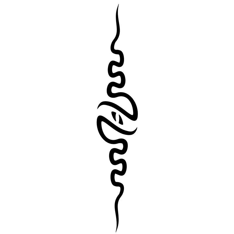 spine_front