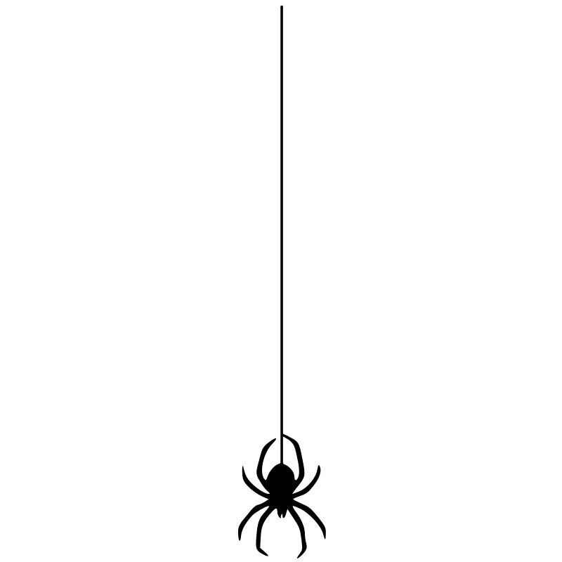 spinne am faden