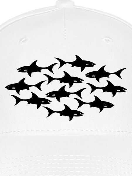 Hai shark