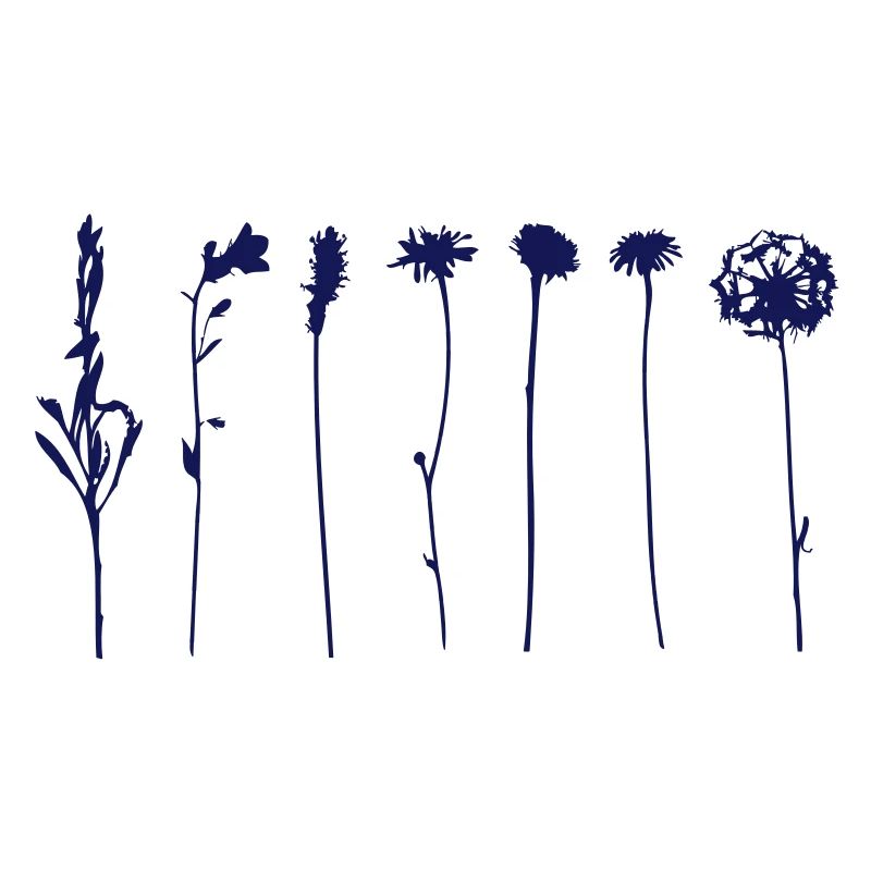 Alpine Flowers