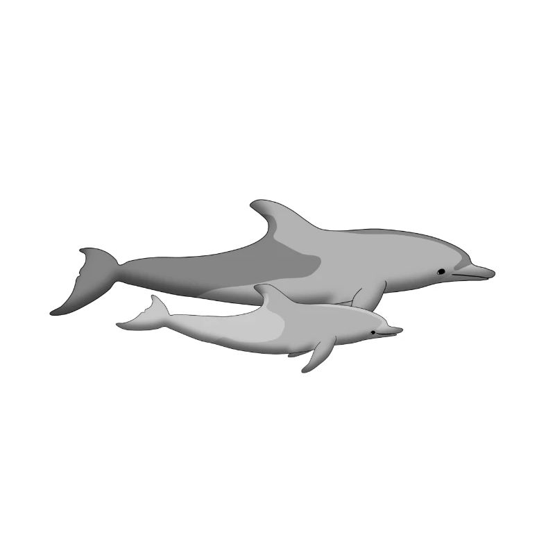 Delfinmutter mit Baby