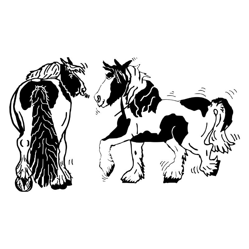 Cute Tinker Horses Equestrian