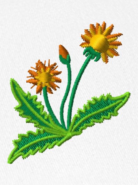 Dandelion