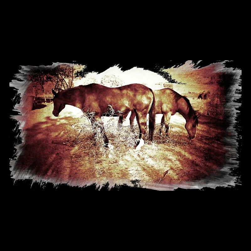 Horses
