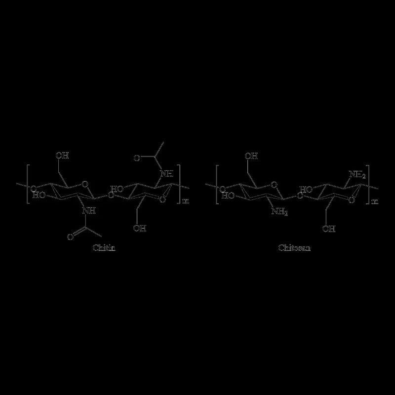 Chitin-Chitosan