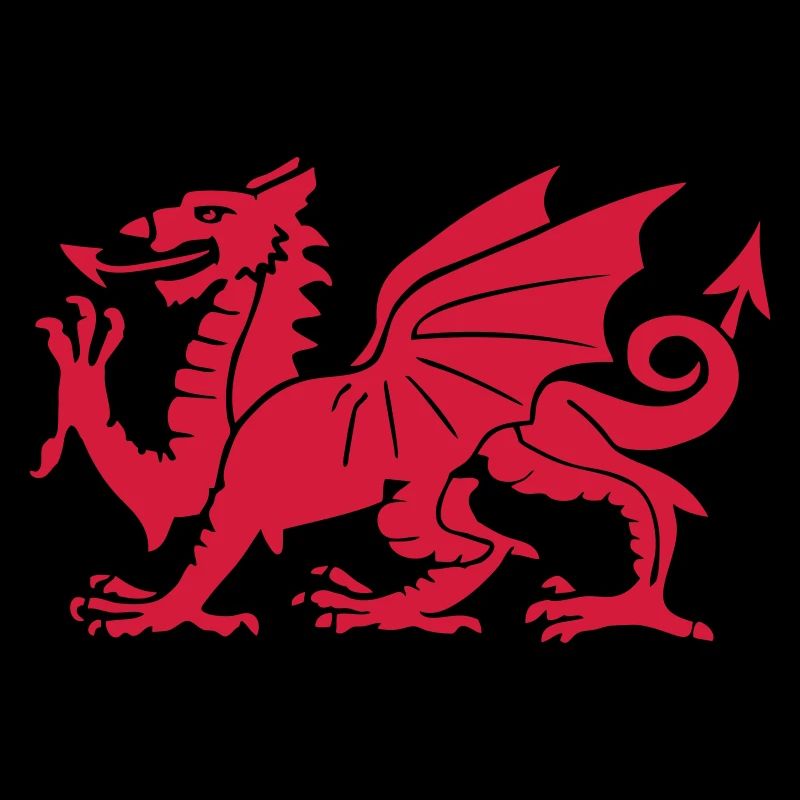 ddraig goch welsh red dragon wales cymru