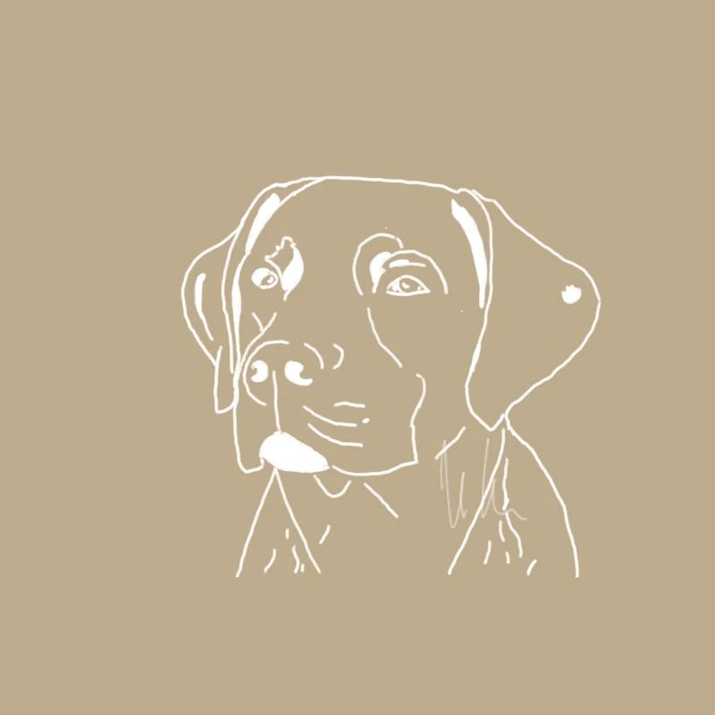 Labrador