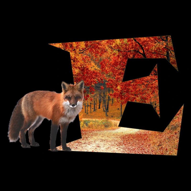 e herbstwald mit fuchs
