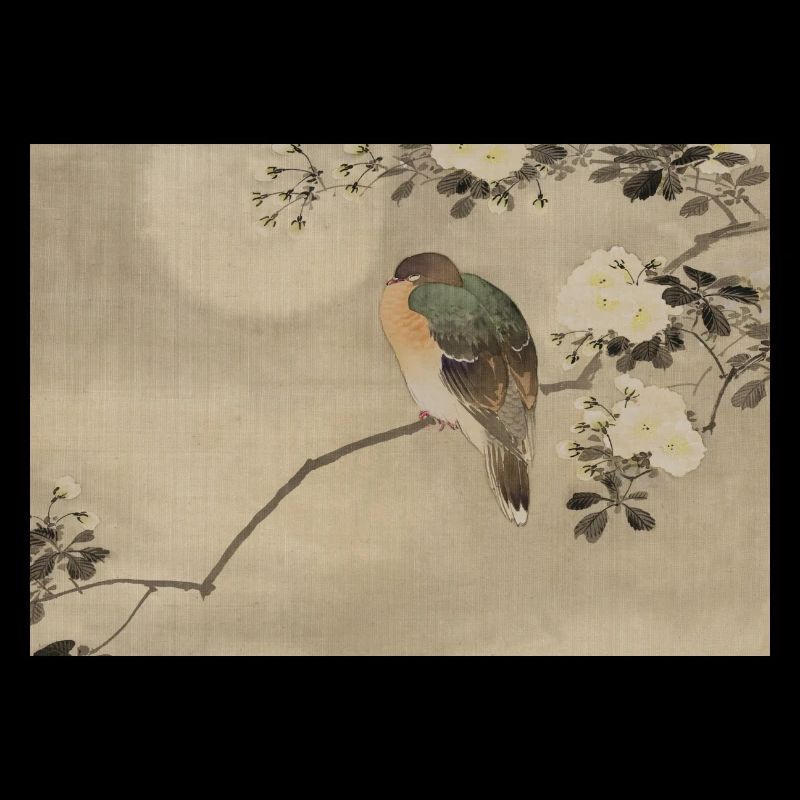 Asiatischer Vogel