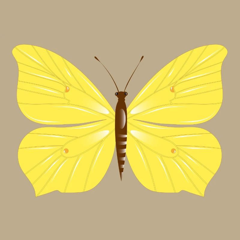 Papillon citron dessiné à la main