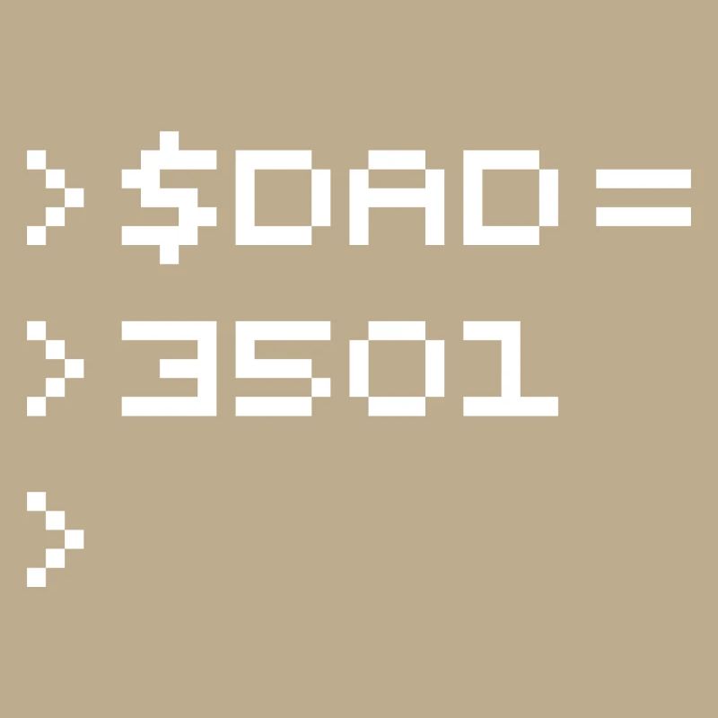 DAD 8-Bit Code Nerd Pixel Terminal Retro