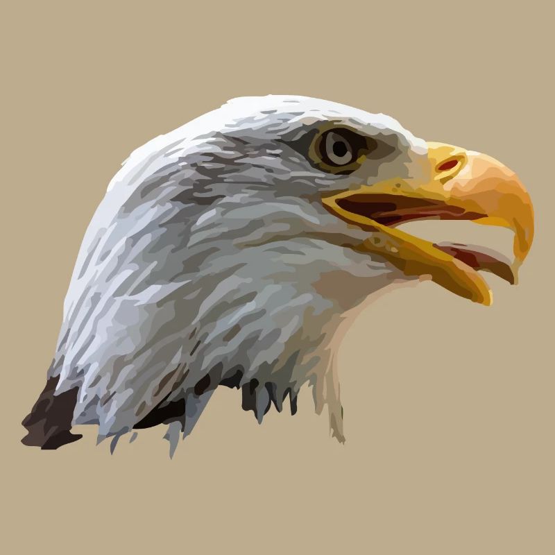 bald eagle