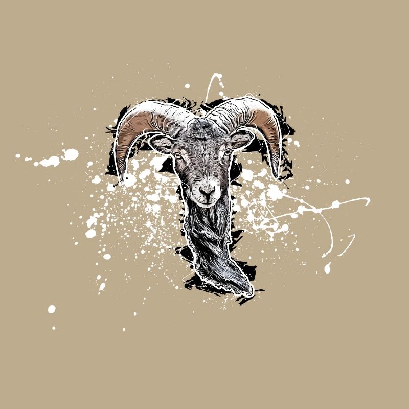 Bouc