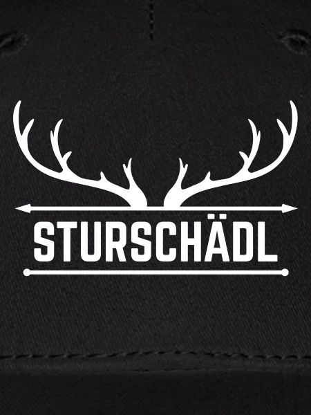 Sturschaedl