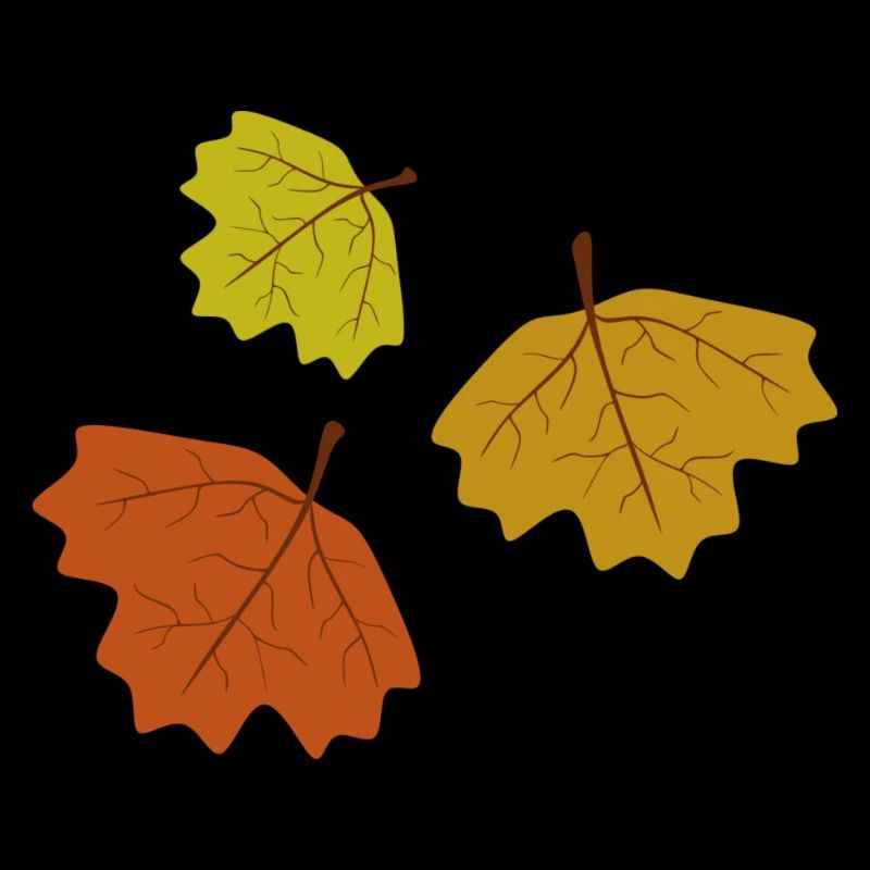 fall leaves
