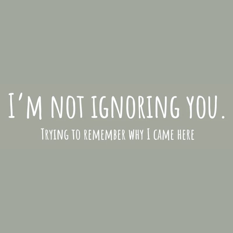 I'm Not Ignoring You – Remember why I came here
