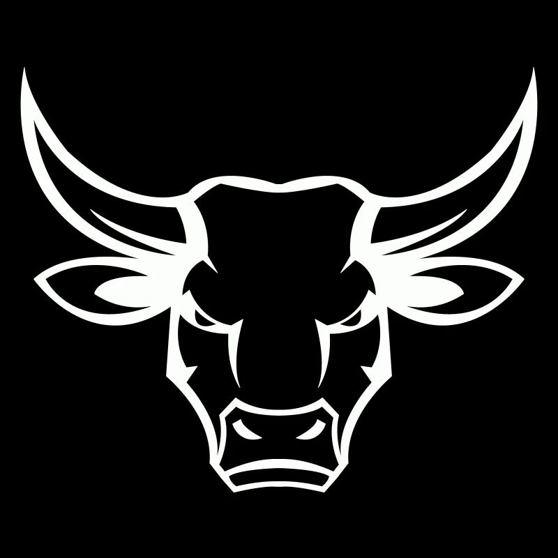 stier bull