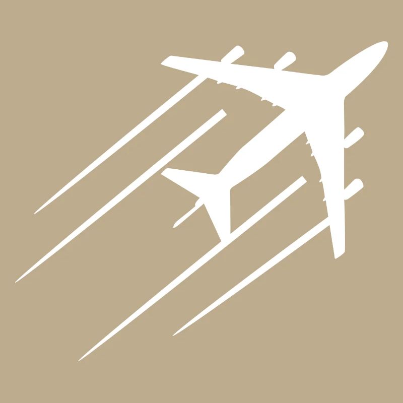 Flugzeug
