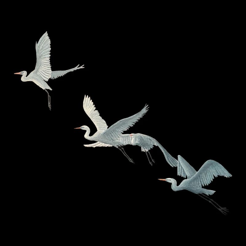 Great Egret Flock Illustration