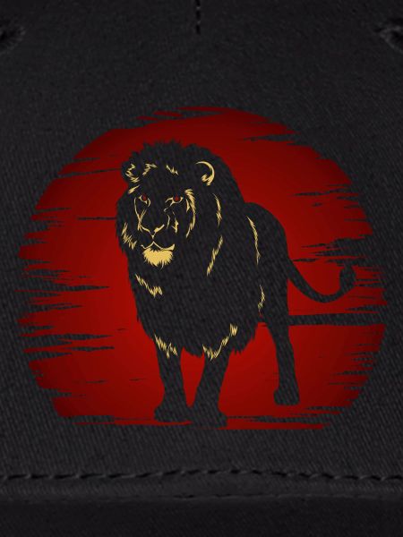 Lion dans l’obscurité